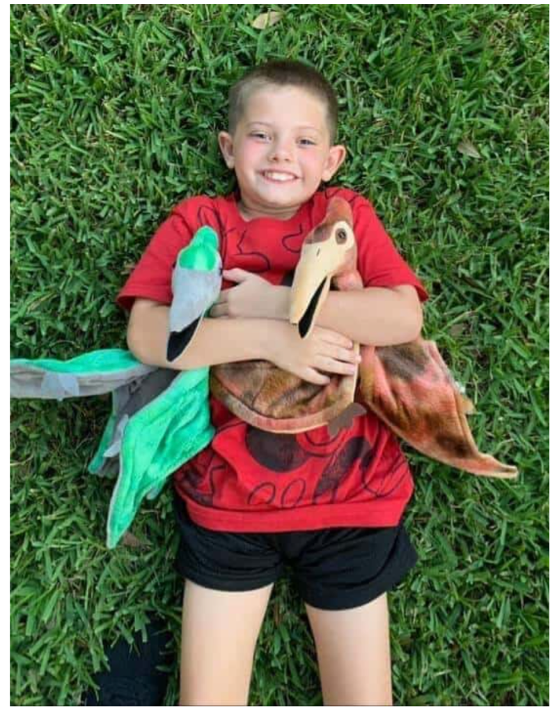 Photo of a child smiling while holding two dinosaur plush toys.